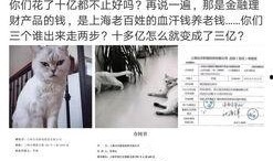 大芝麻爆料铲屎官视频播放,揭秘铲屎官视频背后的趣味与温情