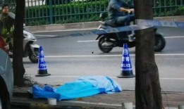 南宁电动车爆料事件视频,揭露背后真相与争议