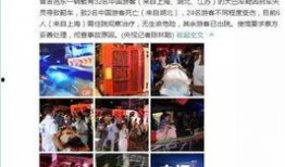 泰国游客爆料视频大全下载,揭秘异国风情与真实体验