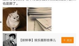大芝麻爆料铲屎官视频播放,揭秘铲屎官视频背后的趣味与温情