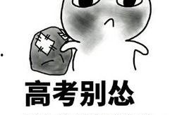 吃瓜好笑表情包下载免费,免费下载，欢乐无限